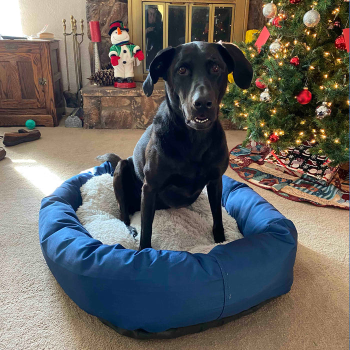 CozyPaws customer moment 3