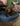 sleeping dog on orthopedic calming dog bed