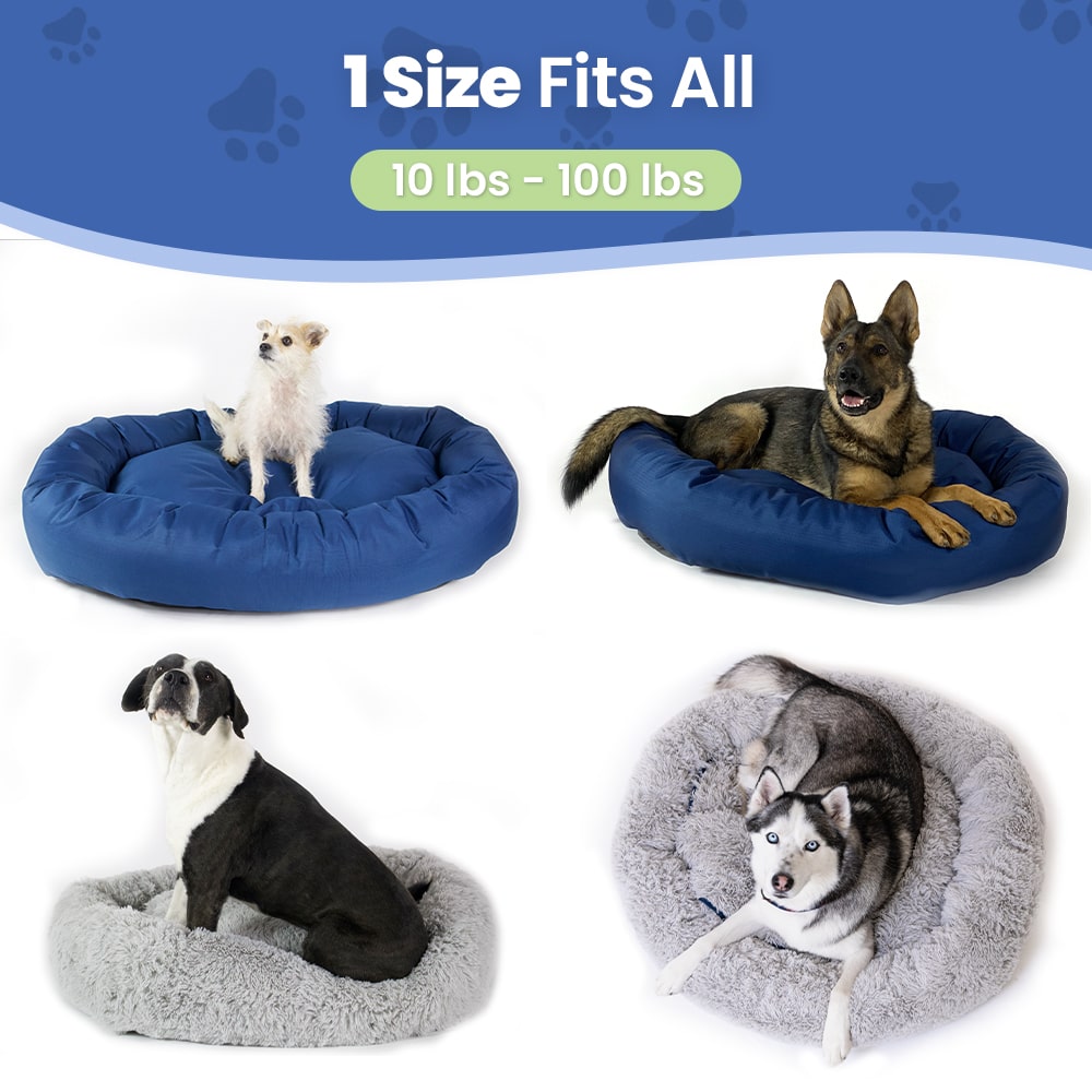 The Fetch Forever Reversible Dog Bed Fetch Forever LLC