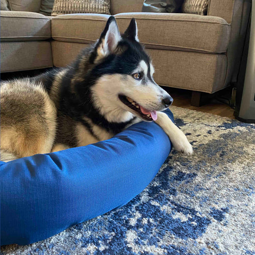 CozyPaws Reversible Dog Bed