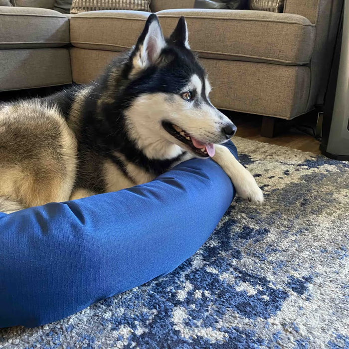 CozyPaws customer moment 1