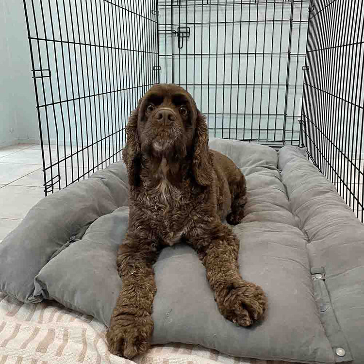 Charlie Crate Mat - Majestic Pet