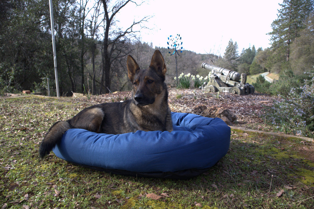 CozyPaws Calming Orthopedic Dog Bed for Large Dogs