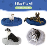 CozyPaws Calming Orthopedic Dog Bed for Large Dogs