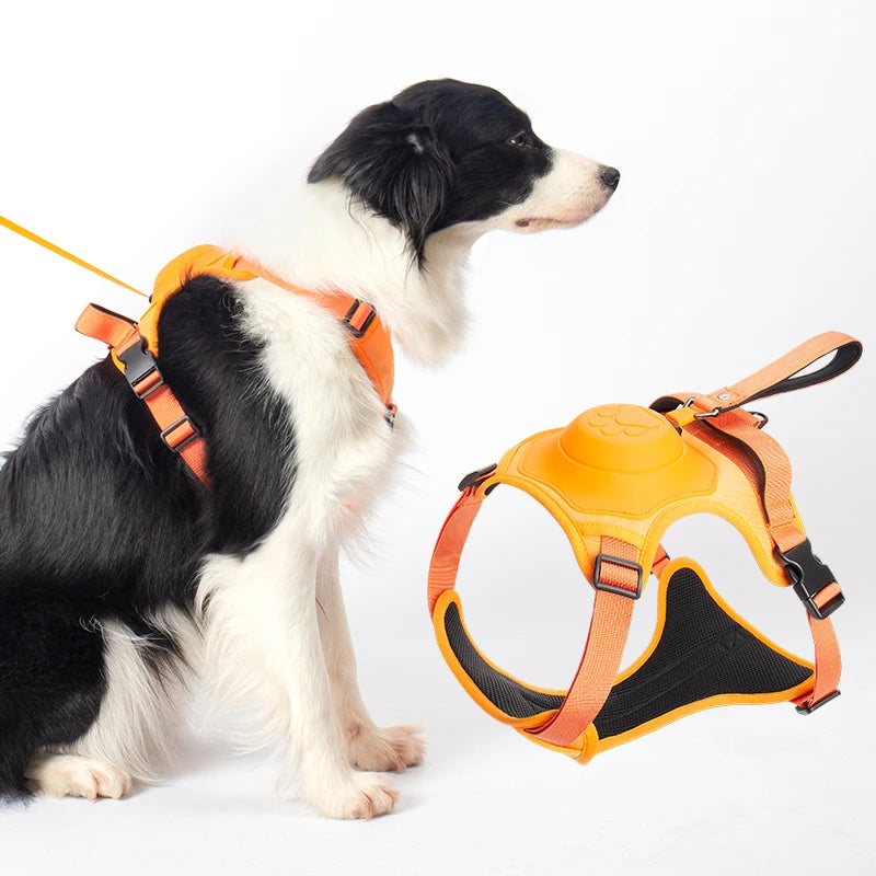 PawsFlex Harness & Leash Combo