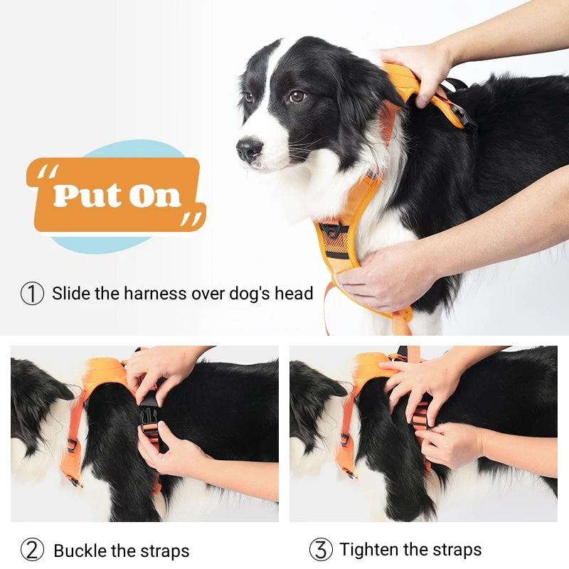 PawsFlex Harness & Leash Combo