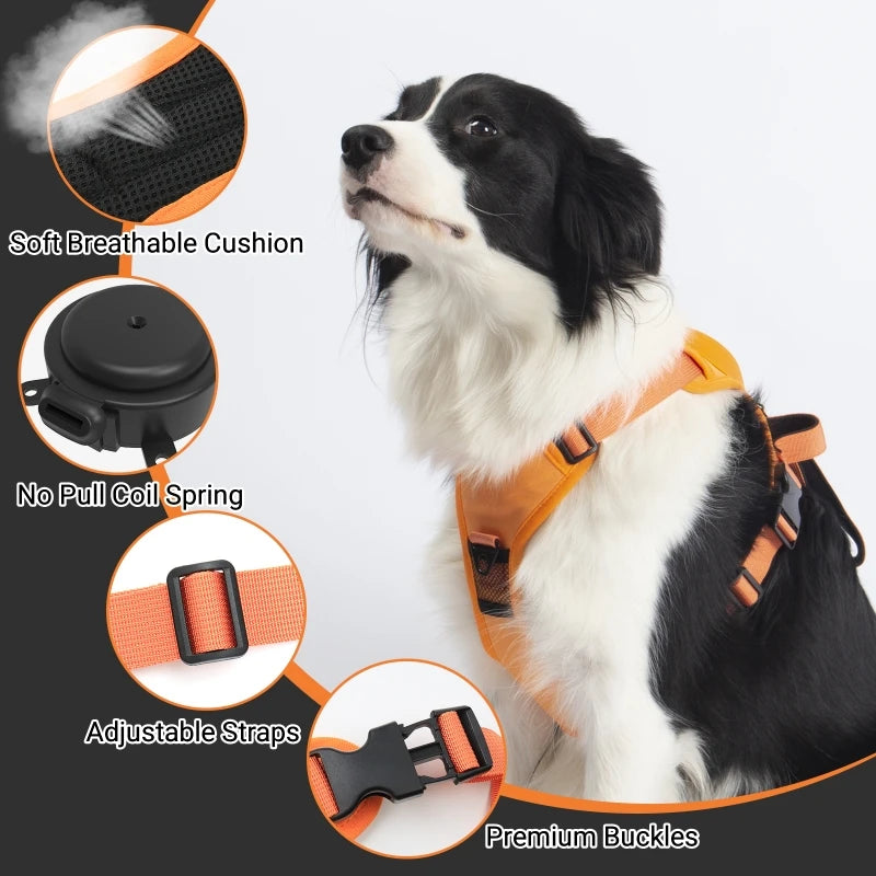 PawsFlex Harness & Leash Combo