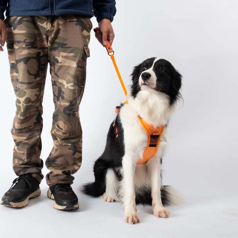 PawsFlex Harness & Leash Combo